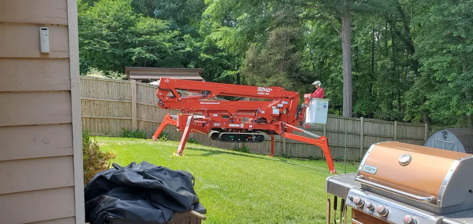 Tree removal Charlotte NC