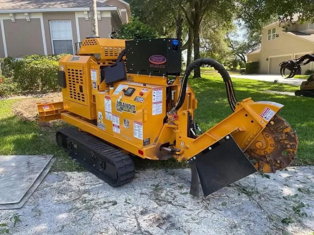 Professional tree work completed