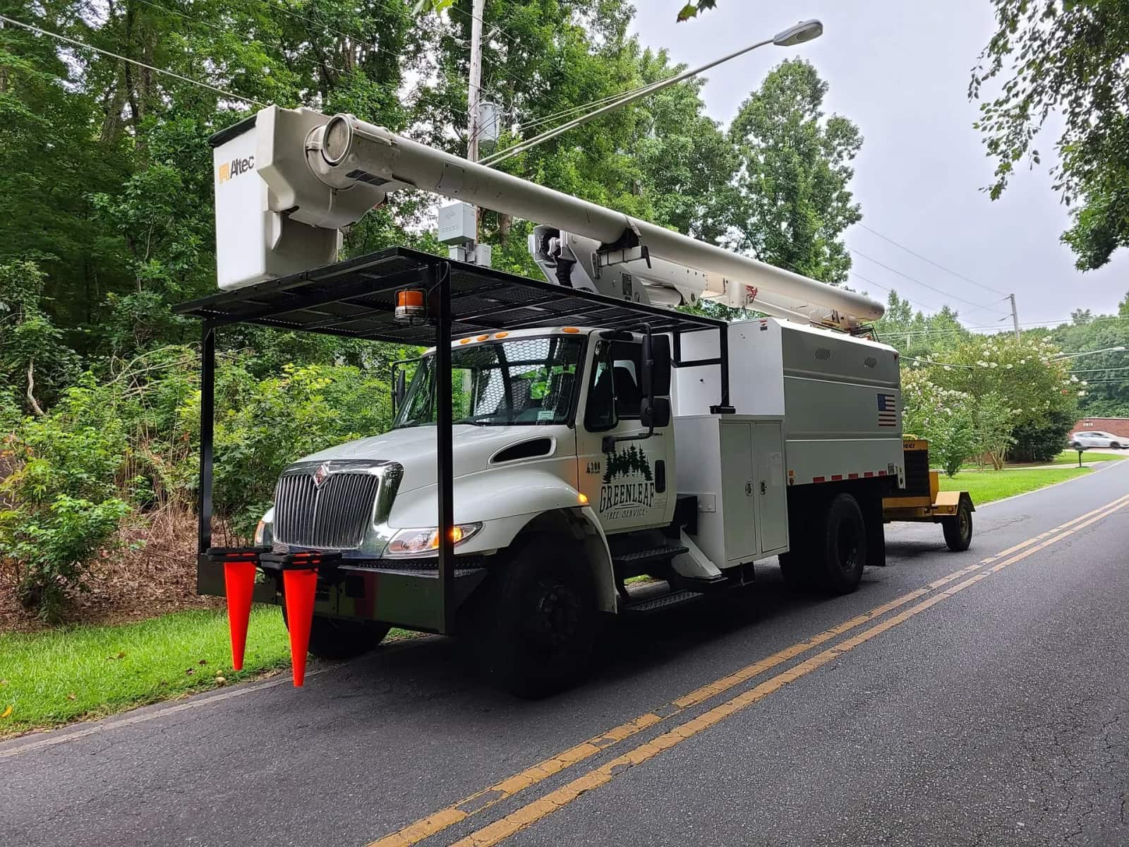 Tree service work Charlotte